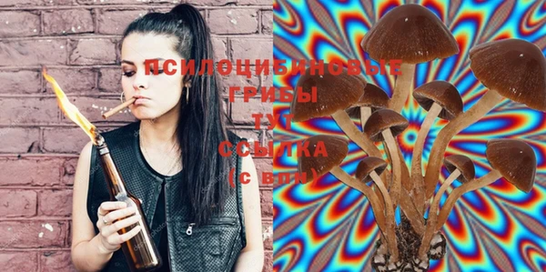 стафф Балахна
